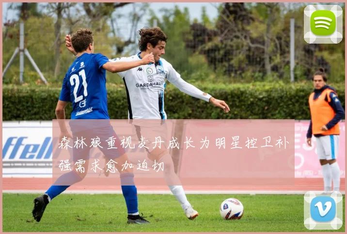 森林狼重视麦丹成长为明星控卫补强需求愈加迫切